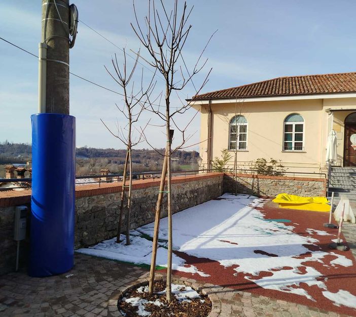 Bastia Mondovì dedicherà la piazza delle scuole a Massimo Bertolino Bastia Mondovì dedicherà la piazza delle scuole a Massimo Bertolino