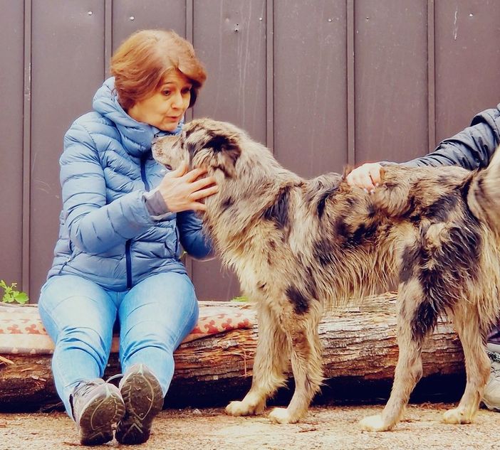 Una Giornata Speciale al Canile Rifugio 281di San Michele Mondovì sul rapporto uomo-cane
