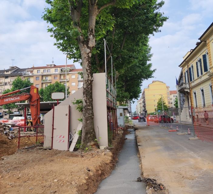 Cuneo, continuano i lavori di rifacimento dello sferisterio: scavi e colate di cemento fatali per la vita degli alberi?