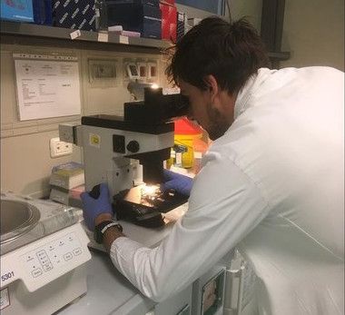 Cuneo, laboratorio Arco Cuneo, laboratorio Arco