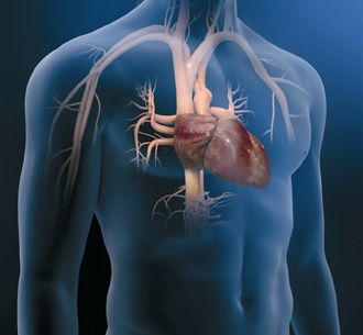 Cardiologie aperte: visite e “pranzo leggero” a Fossano Cardiologie aperte: visite e “pranzo leggero” a Fossano