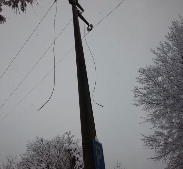Mondovì, albero cade su cavi elettrici: chiusa la strada provinciale Carassone-Piazza