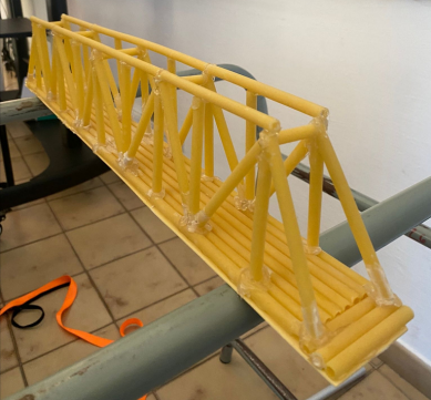 Costruttori di ponti al Denina Pellico Rivoira