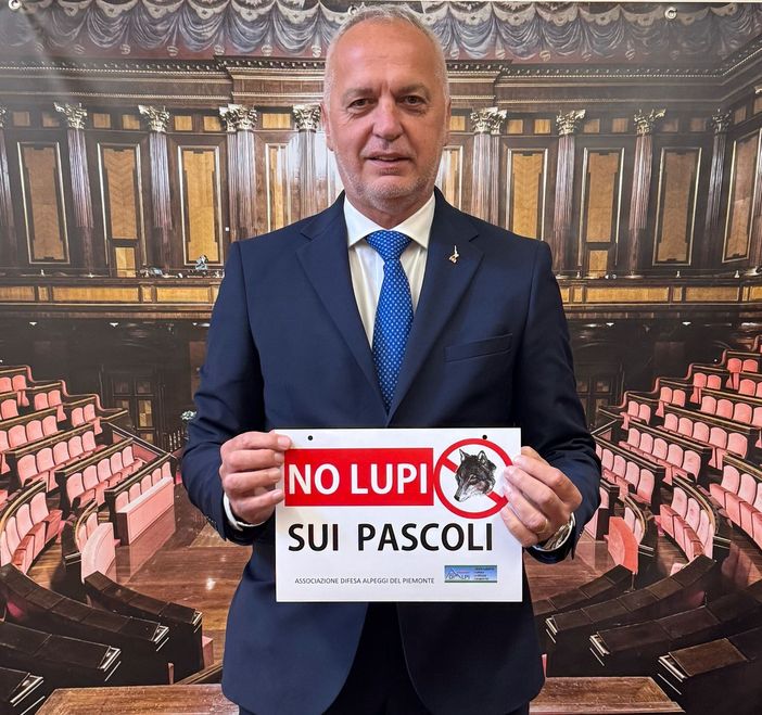 Il senatore Bergesio Il senatore Bergesio