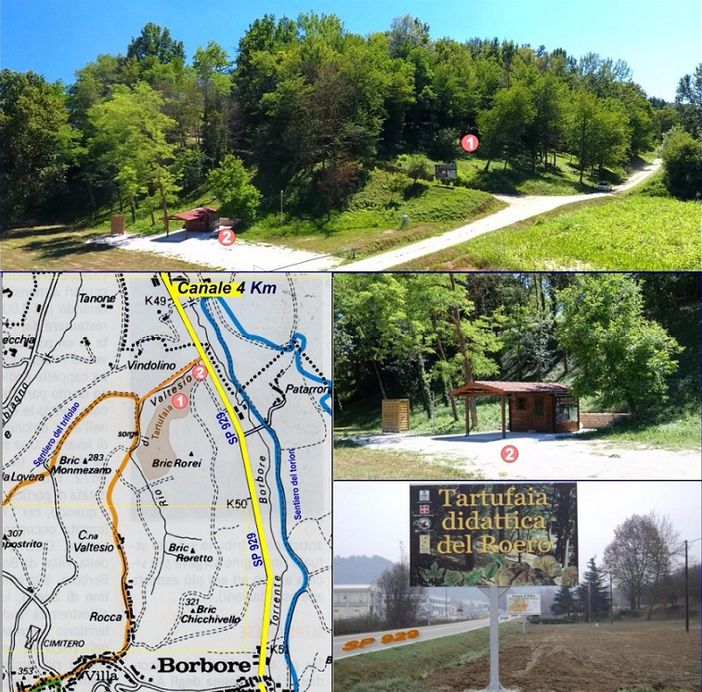 A Vezza d'Alba si inaugura la nuova "Tartufaia didattica del Roero"