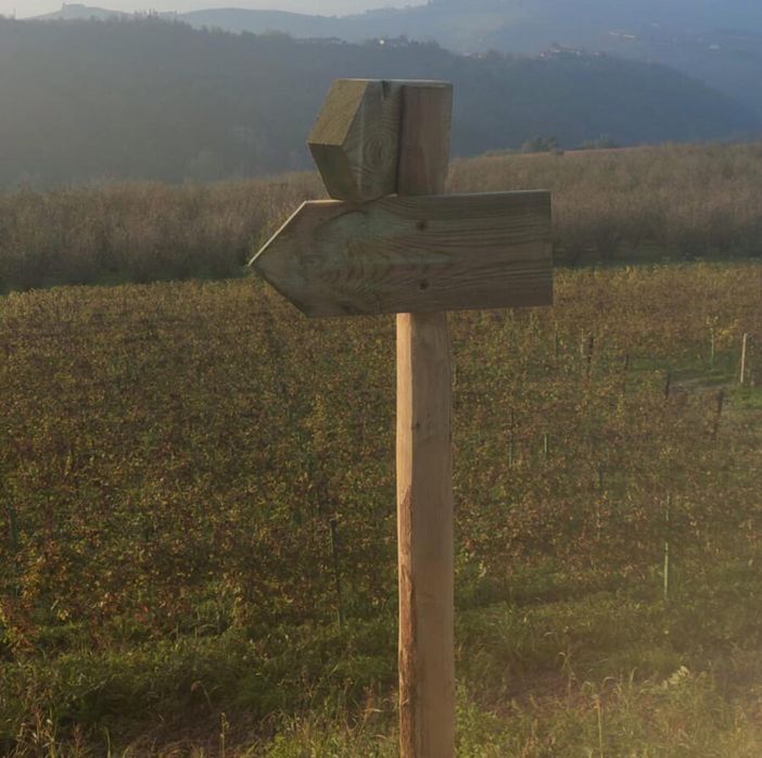 Nasce il Sentiero del Dolcetto: natura, storia e viticoltura tra Diano d'Alba, Montelupo Albese e Rodello Nasce il Sentiero del Dolcetto: natura, storia e viticoltura tra Diano d'Alba, Montelupo Albese e Rodello