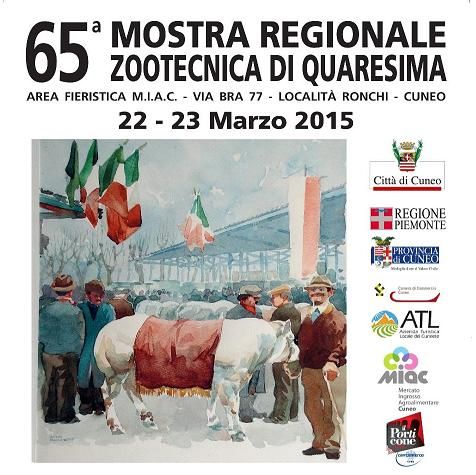 Foto generica Foto generica