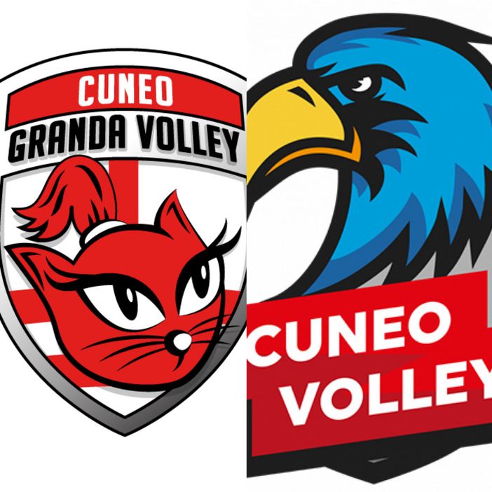 VOLLEY / Colpo di scena sotto rete: Cuneo Granda Volley e Cuneo Volley pronte a collaborare