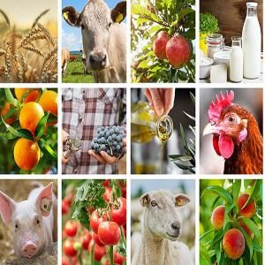 Agricoltura: la Commissione pubblica un elenco di potenziali regimi ecologici Agricoltura: la Commissione pubblica un elenco di potenziali regimi ecologici