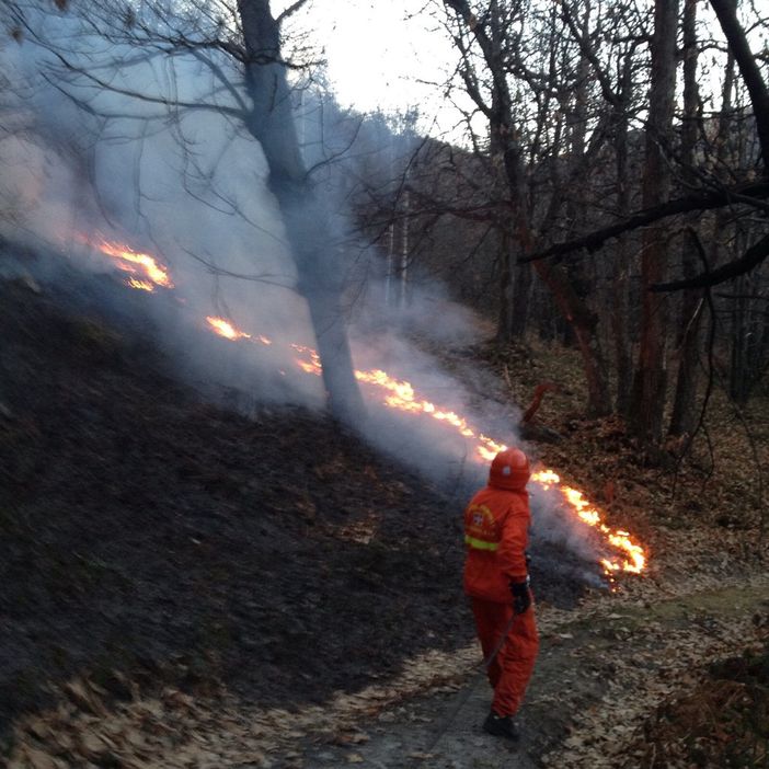 Disposto lo stato di massima pericolosità per gli incendi boschivi Disposto lo stato di massima pericolosità per gli incendi boschivi