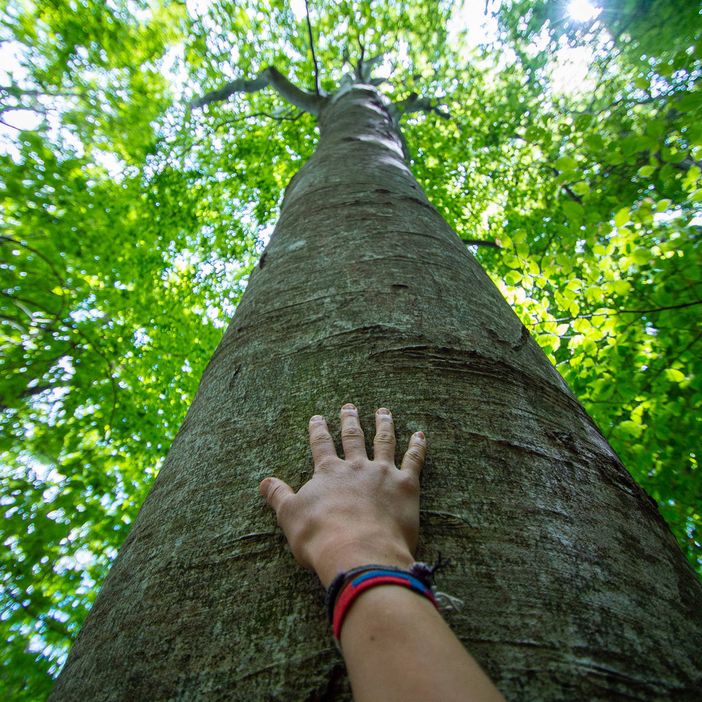 Ormea, escursioni gratuite scoperta del territorio e dei suoi prodotti tipici