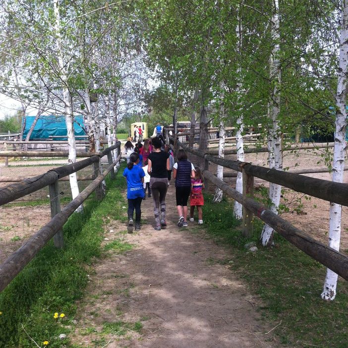 Viaggio nel mondo magico degli alberi e delle erbe insieme ai nostri amici pony