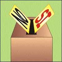 Referendum: quorum raggiunto nel capoluogo, Arguello e Castelmagno i più "virtuosi", Marsaglia e Igliano dove si è votato di meno