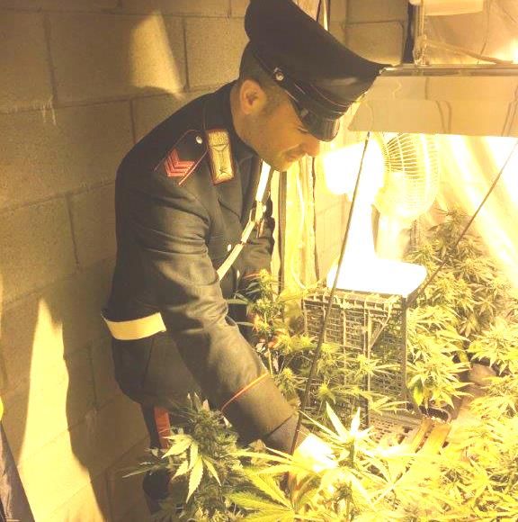 Serra per la coltivazione di marjuana in un garage di Alba Serra per la coltivazione di marjuana in un garage di Alba