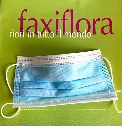 Da Faxiflora, sede di Cuneo, 4000 mascherine chirurgiche alle RSA del territorio