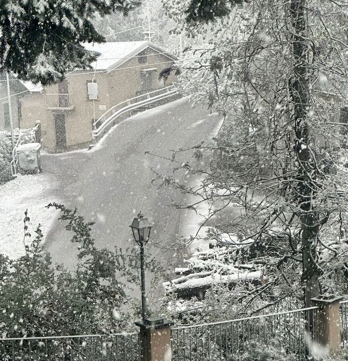 La neve a San Giacomo di Roburent (Foto Paolo Manera)