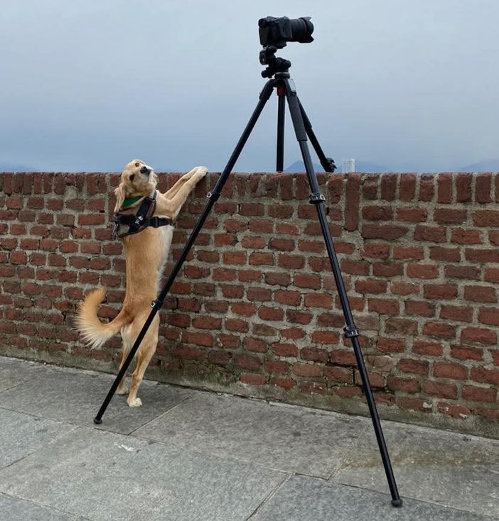 Occhi puntati al cielo per lo spettacolo dell'allineamento di sei pianeti Occhi puntati al cielo per lo spettacolo dell'allineamento di sei pianeti