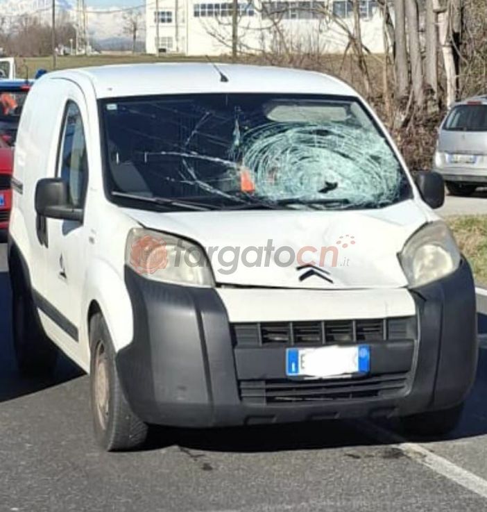 Investiti da un furgone sulla Statale 28 tra Ceva e Lesegno: muore un diciottenne, grave in ospedale l’altro pedone Investiti da un furgone sulla Statale 28 tra Ceva e Lesegno: muore un diciottenne, grave in ospedale l’altro pedone