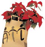 Mostra di Natale del "Germoglio" a Racconigi