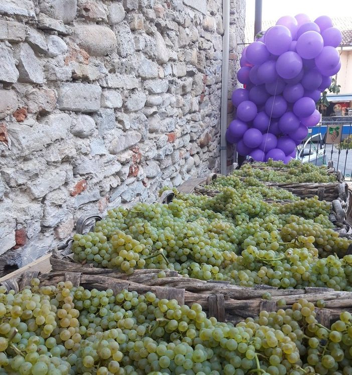 A Bastia Mondovì torna la Mostra dell'Uva e del Vino