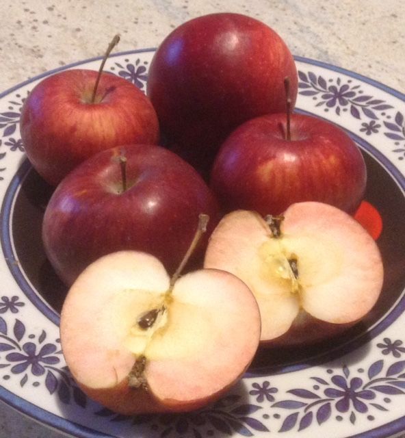 Vi presento la mela Gamba Fina o Gambafina, originaria di Caraglio