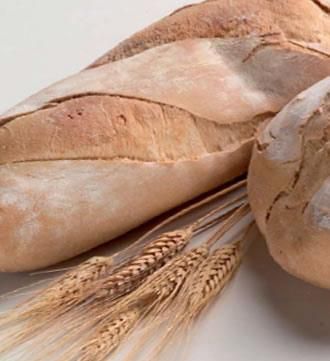 Progetto “Celiachia” per ristoratori ed albergatori della provincia di Cuneo Progetto “Celiachia” per ristoratori ed albergatori della provincia di Cuneo