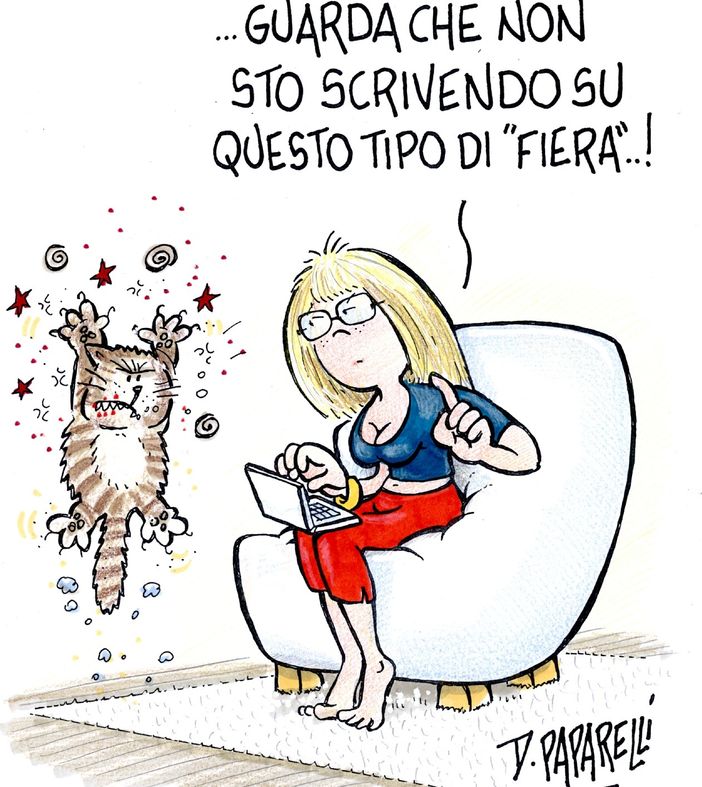 Contro copertina: le sagre paesane