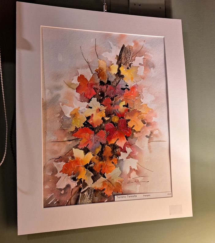 Acquerelli in amicizia esposti nel locale del Caffè Lurisia di Mondovì