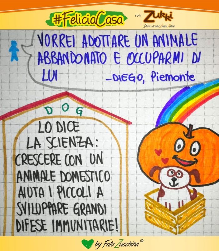 FavoleaCasa: Fata Zucchina legge e commenta "il prezzo del cagnolino", racconto per l'anima