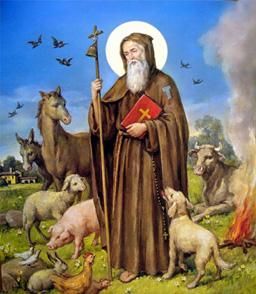 A Moretta tutto pronto per la Festa di Sant'Antonio