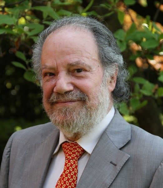 Il sindaco Antonio Parodi