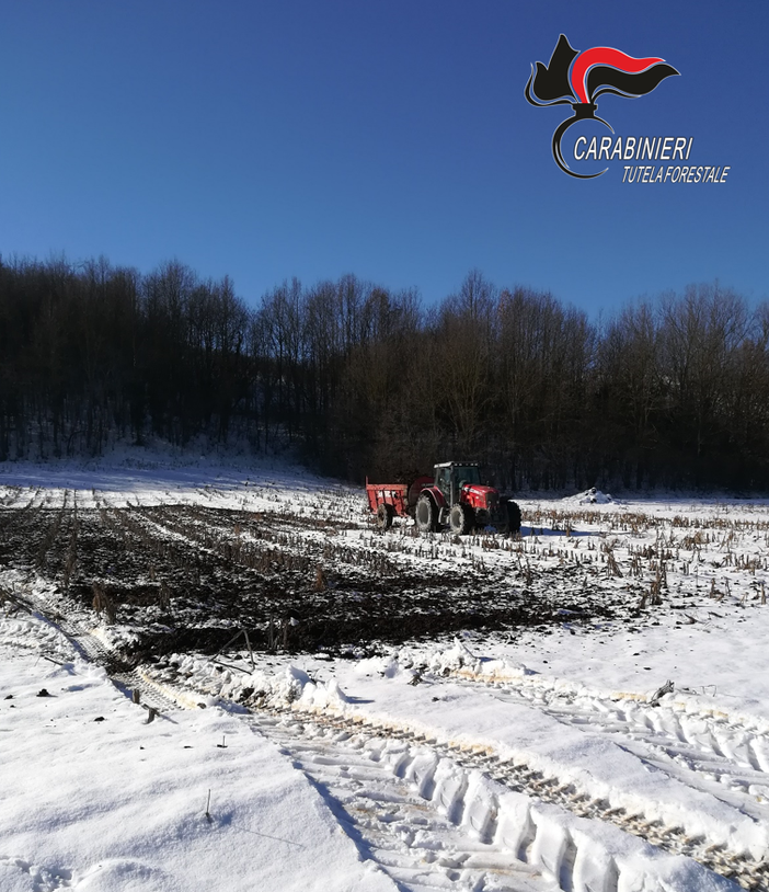 Controlli dei forestali nelle aziende agricole: 14 verbali per uso di reflui di origine zootecnica