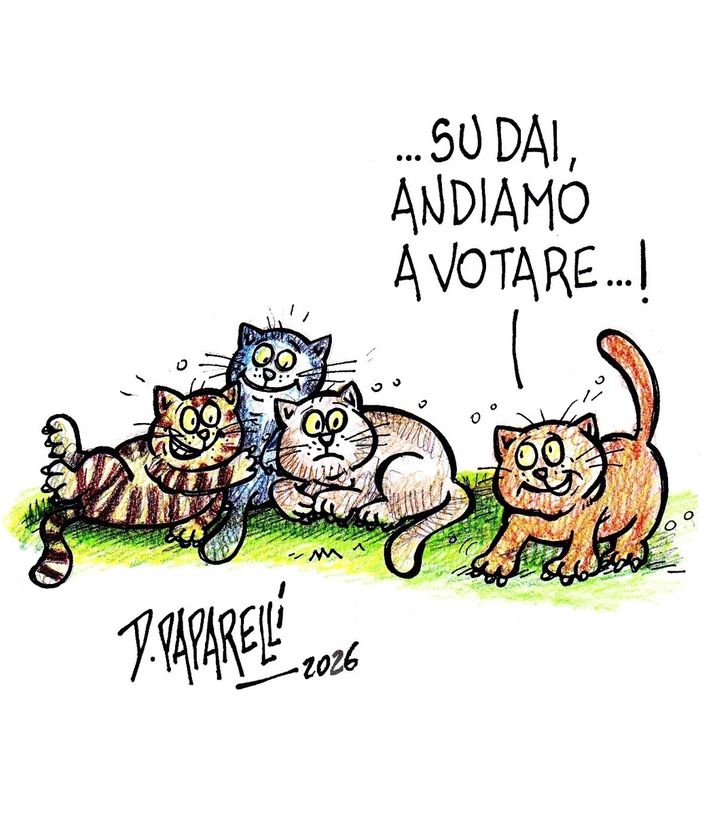 Oggi è tornata elettorale in molte zone della Granda