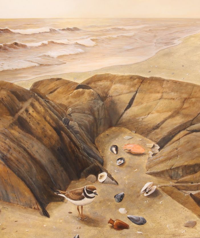 Bra: il “Dialogo della natura” di Ramasso in mostra al “Craveri”