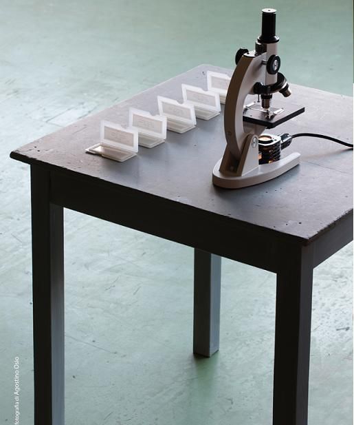 Apre venerdì lo spazio "Albume" a Cuneo