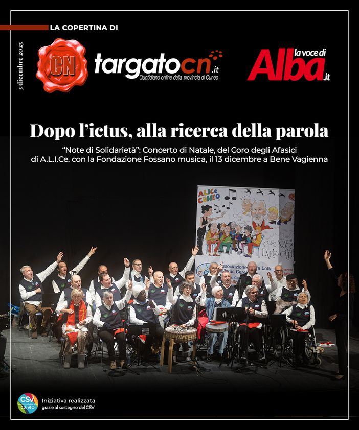 Dopo l'ictus, alla ricerca della parola