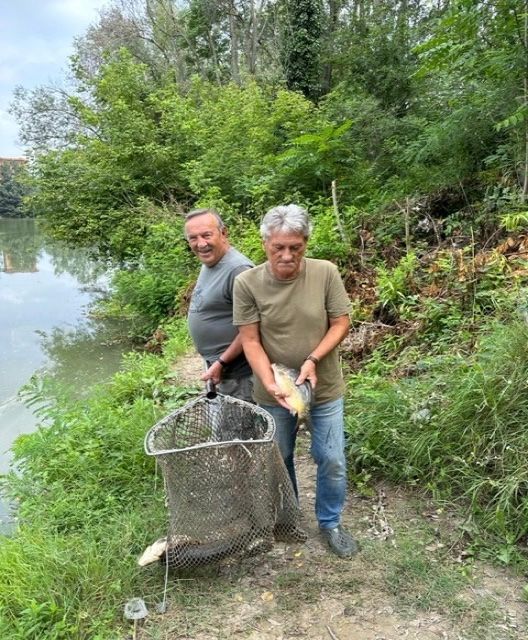 Ripopolamento di carpe nel Tanaro grazie alla Federazione Italiana Pesca Sportiva