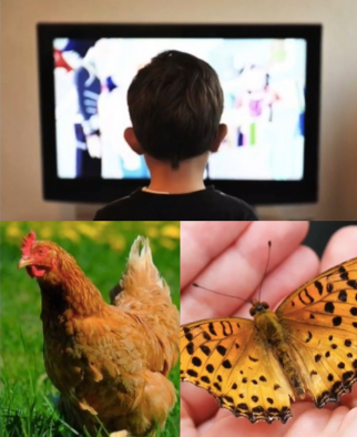 Video/racconti online, la nuova iniziativa sulla pagina Facebook "Biblioteca civica di Magliano Alfieri" Video/racconti online, la nuova iniziativa sulla pagina Facebook "Biblioteca civica di Magliano Alfieri"