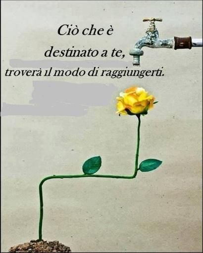 Visite guidate e spettacoli no-stop nel Museo della Magia di Cherasco, il più grande e originale in Europa Visite guidate e spettacoli no-stop nel Museo della Magia di Cherasco, il più grande e originale in Europa