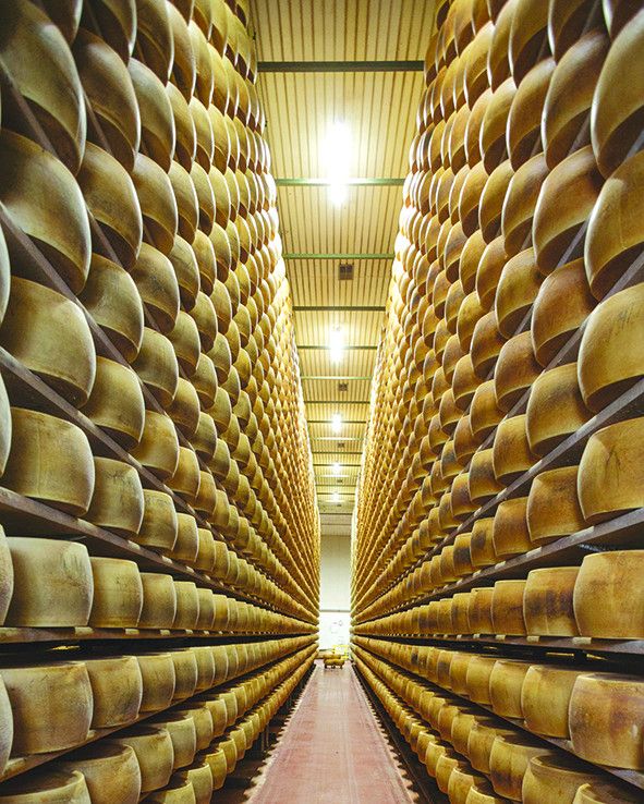 Pranzo benefico per la Lilt di Cuneo alle fattorie Fiandino di Villafalletto Pranzo benefico per la Lilt di Cuneo alle fattorie Fiandino di Villafalletto