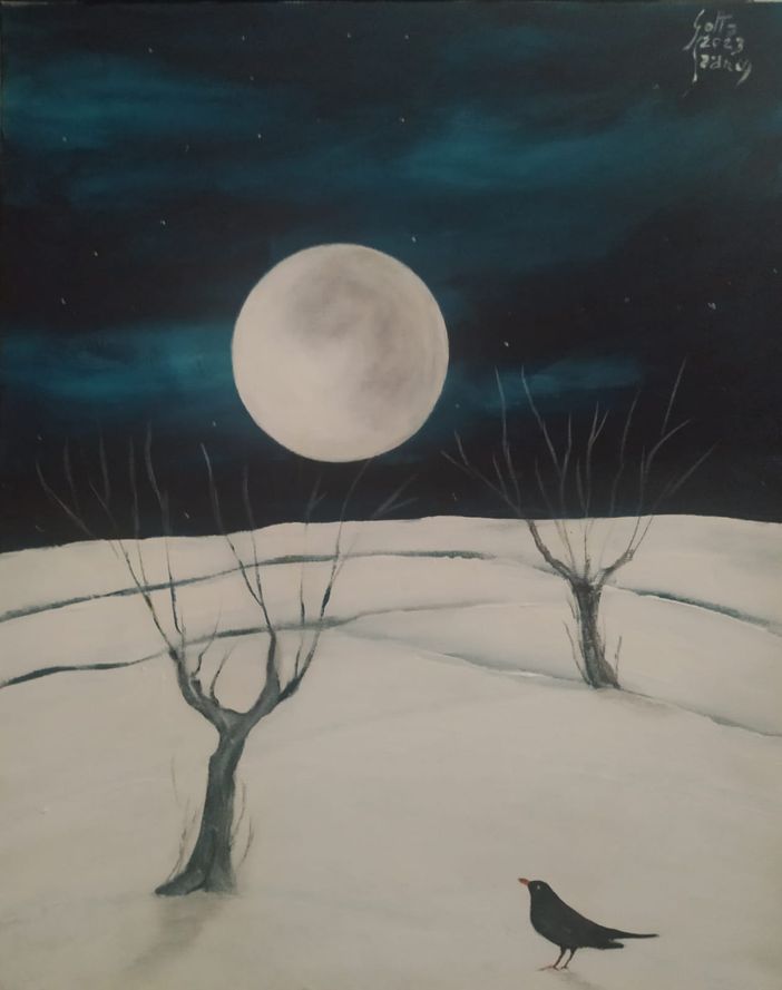 Luna Fredda, vista dal pittore braidese Franco Gotta