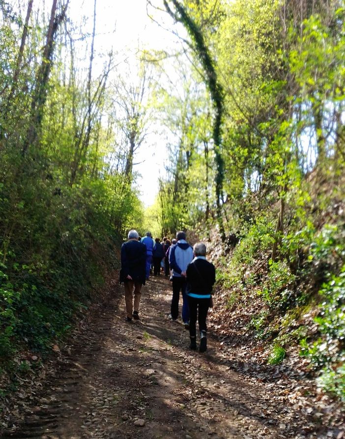 Camminata con l'Associazione della Banca del tempo di Sommariva del Bosco