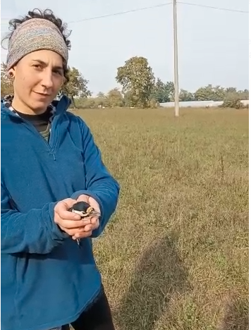 Scolaresca in gita al Parco fluviale di Cuneo trova e aiuta un picchio rosso ferito