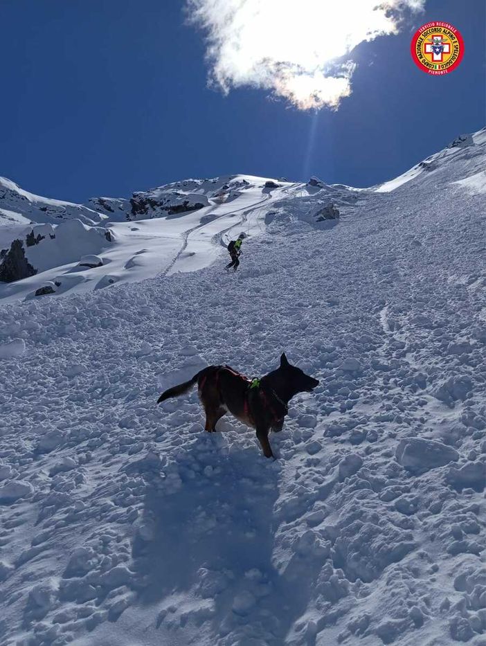 Neve abbondante sulle Alpi liguri e marittime: unità cinofila da valanga operativa già da domani a Levaldigi