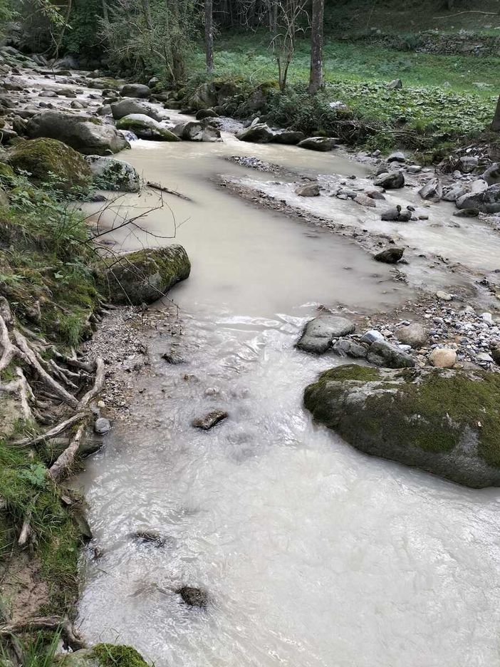 Frabosa Sottana, acque sporche e moria di trote nel torrente Maudagna [FOTO]