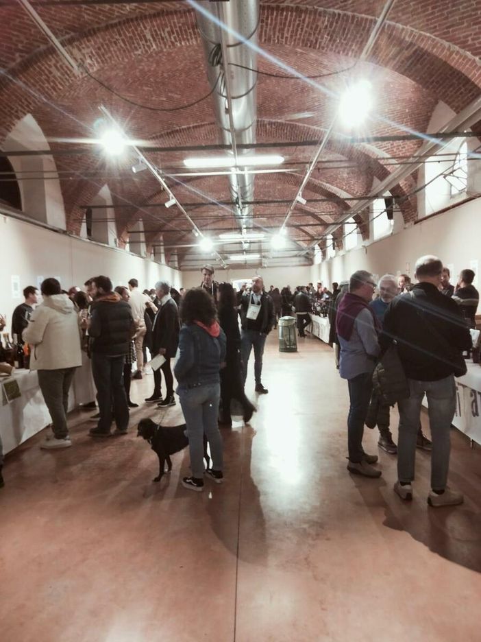 Svitati, edizione 2024