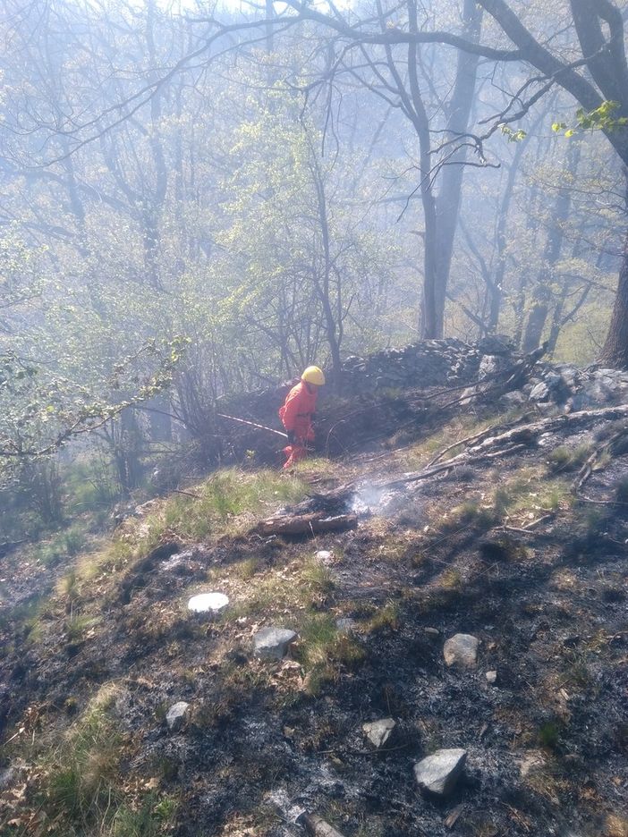 Aib all'opera tra Ceva e Castellino Tanaro Aib all'opera tra Ceva e Castellino Tanaro