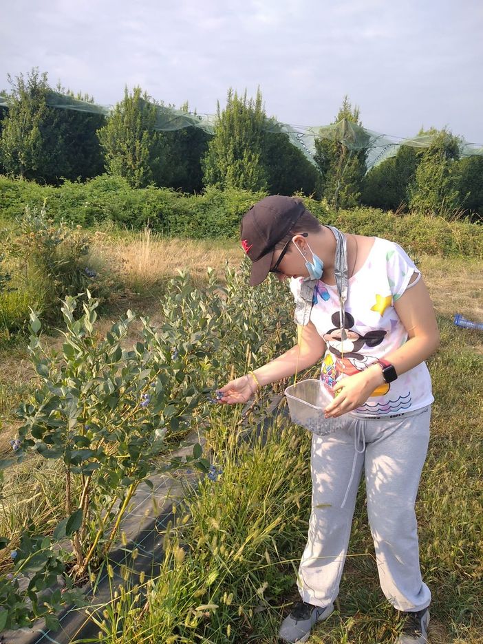 Intesa Sanpaolo sostiene il progetto "METAutismo" della cooperativa Armonia Work di Centallo Intesa Sanpaolo sostiene il progetto "METAutismo" della cooperativa Armonia Work di Centallo