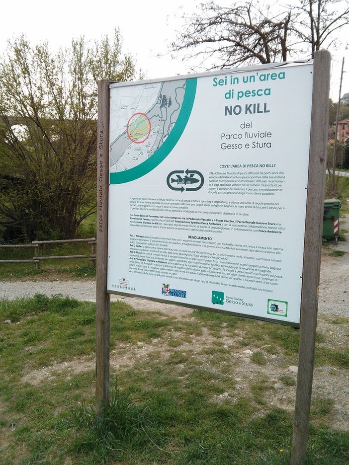 Istituita una zona di pesca “No-Kill” nel Fiume Stura, nel Parco fluviale Gesso e Stura
