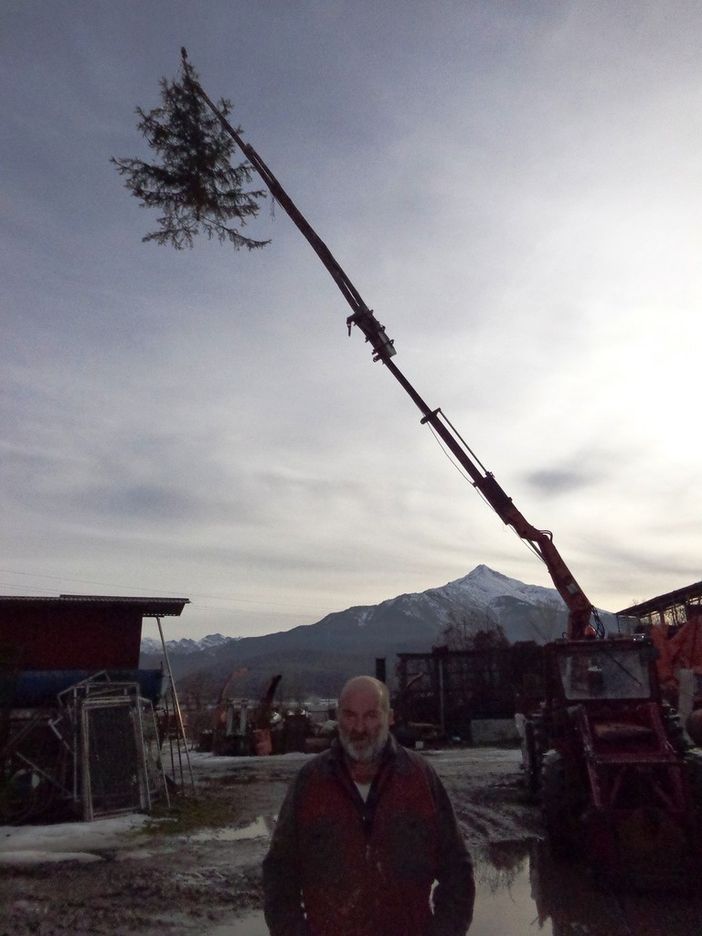 L’albero di Natale più alto di Peveragno si conferma il pino sospeso di Santa Margherita